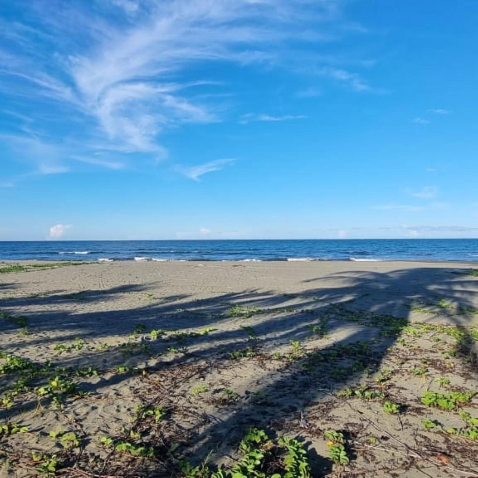 Hotel Playa Westfalia Пуерто Лимон Екстериор снимка
