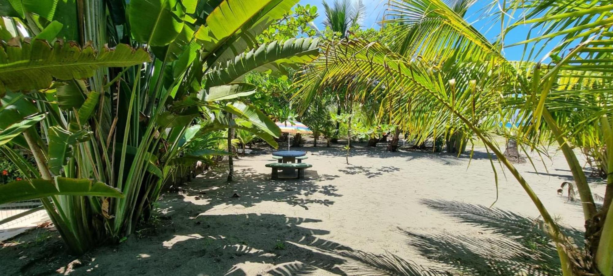Hotel Playa Westfalia Пуерто Лимон Екстериор снимка