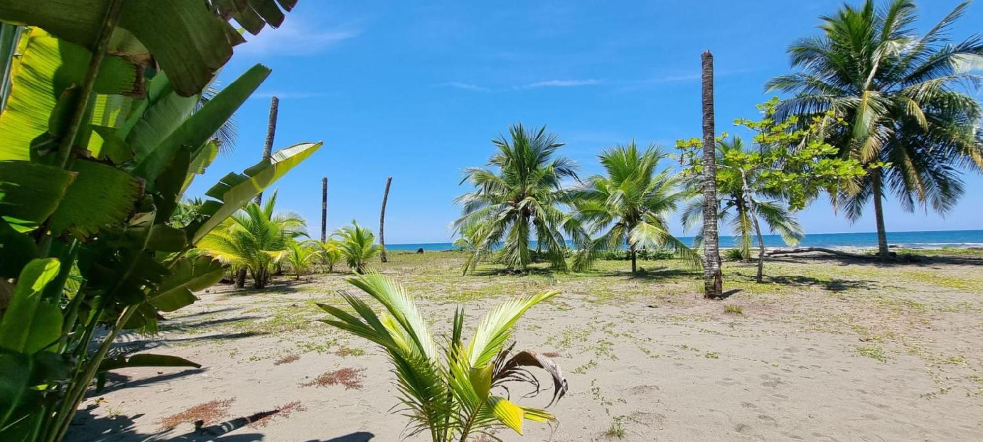 Hotel Playa Westfalia Пуерто Лимон Екстериор снимка